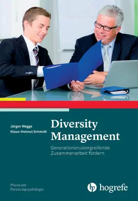 Wegge / Schmidt |  Diversity Management | eBook | Sack Fachmedien