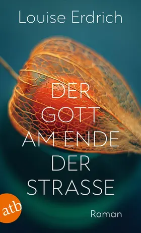 Erdrich |  Der Gott am Ende der Straße | eBook | Sack Fachmedien