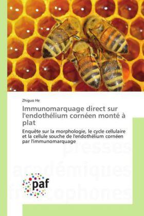 He |  Immunomarquage direct sur l'endothélium cornéen monté à plat | Buch |  Sack Fachmedien