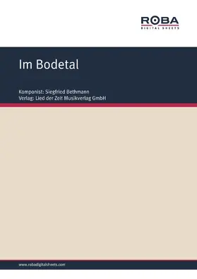 Bethmann |  Im Bodetal | eBook | Sack Fachmedien