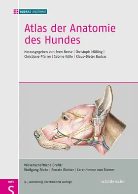 Reese / Mülling / Pfarrer |  Atlas der Anatomie des Hundes | eBook | Sack Fachmedien