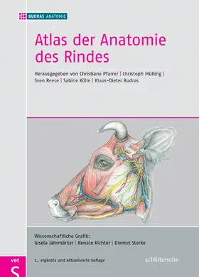 Mülling / Reese / Budras |  Atlas der Anatomie des Rindes | eBook | Sack Fachmedien