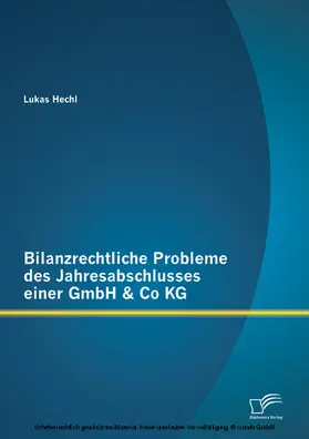 Hechl |  Bilanzrechtliche Probleme des Jahresabschlusses einer GmbH & Co KG | eBook | Sack Fachmedien