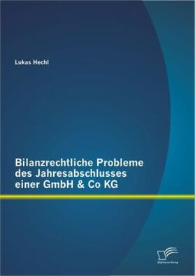 Hechl |  Bilanzrechtliche Probleme des Jahresabschlusses einer GmbH & Co KG | Buch |  Sack Fachmedien