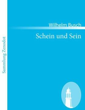 Busch |  Schein und Sein | Buch |  Sack Fachmedien