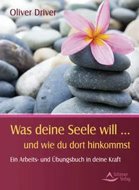 Driver |  Was deine Seele will ...  und wie du dorthin kommst | Buch |  Sack Fachmedien