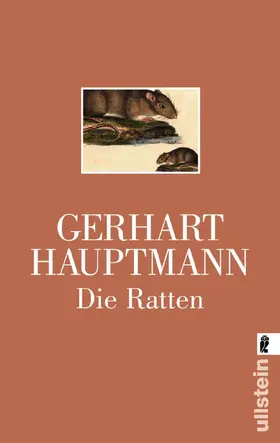 Hauptmann |  Die Ratten | eBook | Sack Fachmedien