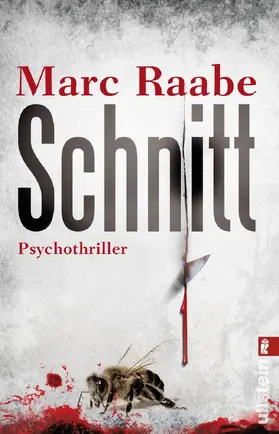 Raabe |  Schnitt | eBook | Sack Fachmedien