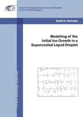 Schulte |  Modelling of the Initial Ice Growth in a Supercooled Liquid Droplet | Buch |  Sack Fachmedien