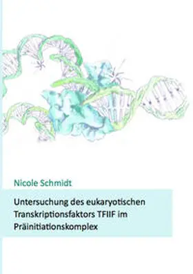 Schmidt |  Untersuchung des eukaryotischen Transkriptionsfaktors TFIIF im Präinitiationskomplex | Buch |  Sack Fachmedien