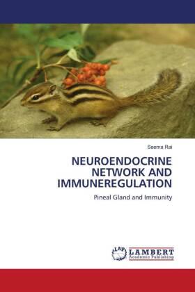 Rai |  NEUROENDOCRINE NETWORK AND IMMUNEREGULATION | Buch |  Sack Fachmedien