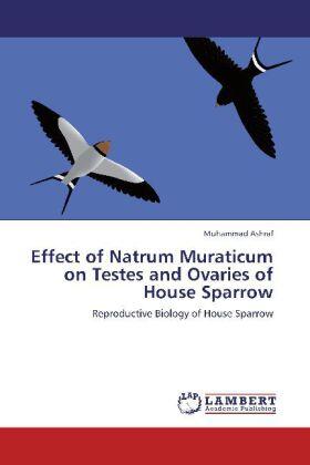 Ashraf |  Effect of Natrum Muraticum on Testes and Ovaries of House Sparrow | Buch |  Sack Fachmedien
