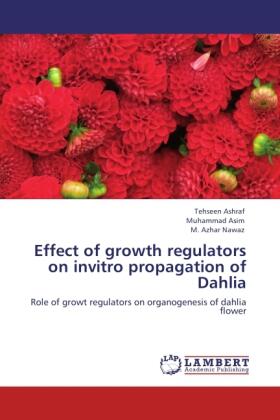 Ashraf / Asim / Nawaz |  Effect of growth regulators on invitro propagation of Dahlia | Buch |  Sack Fachmedien