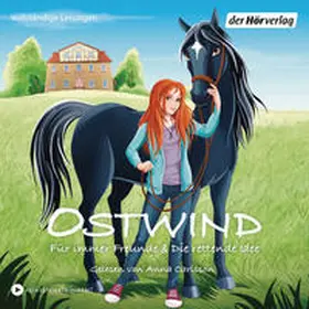 THiLO |  Ostwind - Für immer Freunde & Die rettende Idee | Sonstiges |  Sack Fachmedien