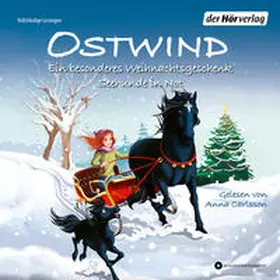 THiLO |  Ostwind. Ein besonderes Weihnachtsgeschenk & Seehunde in Not | Sonstiges |  Sack Fachmedien