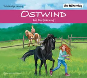Schwarz |  Ostwind - Die Entführung | Sonstiges |  Sack Fachmedien