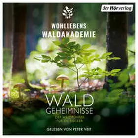  Waldgeheimnisse | Sonstiges |  Sack Fachmedien