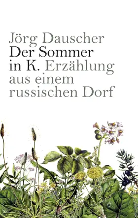 Dauscher |  Der Sommer in K. | eBook | Sack Fachmedien