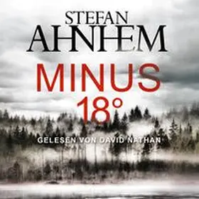Ahnhem | Minus 18 Grad (Ein Fabian-Risk-Krimi 3) | Sonstiges | 978-3-8449-1452-8 | sack.de