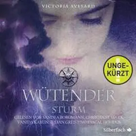 Aveyard |  Wütender Sturm (Die Farben des Blutes 4) | Sonstiges |  Sack Fachmedien