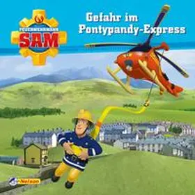  Maxi-Mini 5: VE 5: Feuerwehrmann Sam - Gefahr im Pontypandy-Express (5x1 Exemplar) | Buch |  Sack Fachmedien