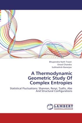 Tiwari / Chandra / Banerjee |  A Thermodynamic Geometric Study Of Complex Entropies | Buch |  Sack Fachmedien