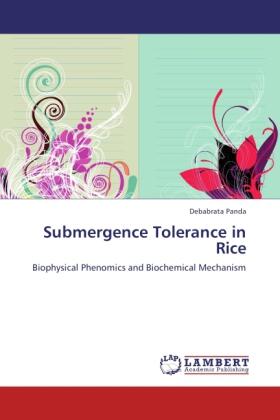 Panda |  Submergence Tolerance in Rice | Buch |  Sack Fachmedien