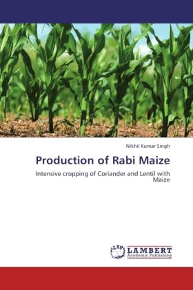 Singh |  Production of Rabi Maize | Buch |  Sack Fachmedien