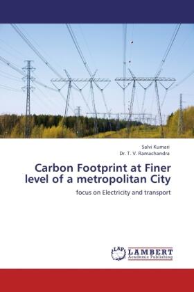 Kumari / Ramachandra |  Carbon Footprint at Finer level of a metropolitan City | Buch |  Sack Fachmedien