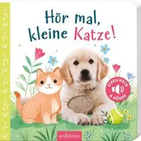 Hör mal, kleine Katze! | Buch |  Sack Fachmedien