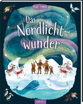 Zommer |  Das Nordlichtwunder | Buch |  Sack Fachmedien