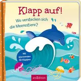 Anker |  Klapp auf! Wo verstecken sich die Meerestiere? | Buch |  Sack Fachmedien