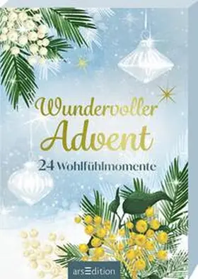  Wundervoller Advent | Buch |  Sack Fachmedien