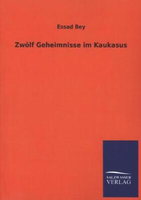 Bey |  Zwölf Geheimnisse im Kaukasus | Buch |  Sack Fachmedien