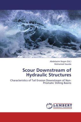 Sauida / Negm |  Scour Downstream of    Hydraulic Structures | Buch |  Sack Fachmedien