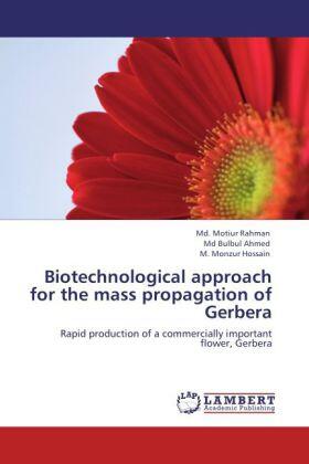 Rahman / Ahmed / Hossain |  Biotechnological approach for the mass propagation of Gerbera | Buch |  Sack Fachmedien