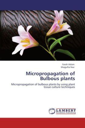 Aslam / Naz |  Micropropagation of Bulbous plants | Buch |  Sack Fachmedien