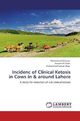 Ramzan / Khan / Sarwar Khan |  Incidenc of Clinical Ketosis in Cows in & around Lahore | Buch |  Sack Fachmedien