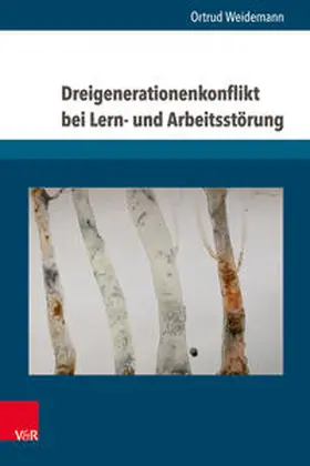 Weidemann |  Dreigenerationenkonflikt bei Lern- und Arbeitsstörung | Buch |  Sack Fachmedien