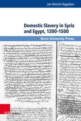 Hagedorn |  Domestic Slavery in Syria and Egypt, 1200–1500 | Buch |  Sack Fachmedien