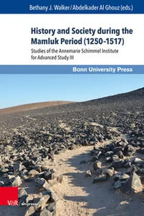 Walker / Al Ghouz |  History and Society during the Mamluk Period (1250-1517) | Buch |  Sack Fachmedien