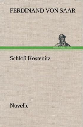 Saar |  Schloß Kostenitz | Buch |  Sack Fachmedien