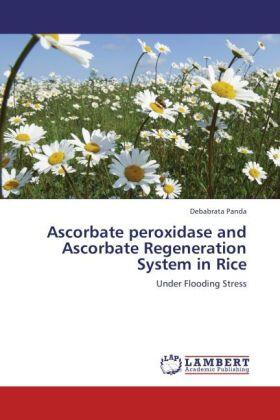 Panda |  Ascorbate peroxidase and Ascorbate Regeneration System in Rice | Buch |  Sack Fachmedien