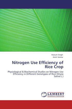 Singh / Verma |  Nitrogen Use Efficiency of Rice Crop | Buch |  Sack Fachmedien