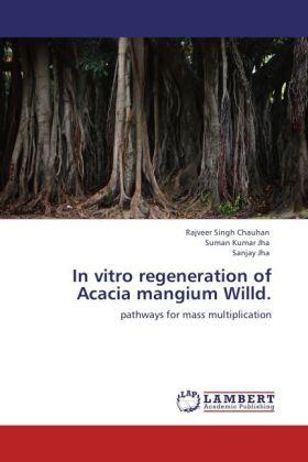 Chauhan / Jha |  In vitro regeneration of Acacia mangium Willd. | Buch |  Sack Fachmedien