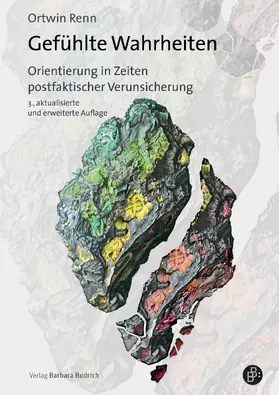 Renn |  Gefühlte Wahrheiten | Buch |  Sack Fachmedien