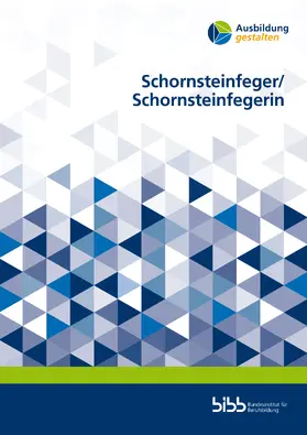Meier / Steilen / Voigt |  Schornsteinfeger/-in | Buch |  Sack Fachmedien