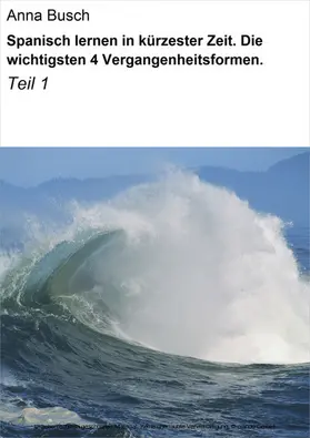 Busch |  Spanisch lernen in kürzester Zeit. Die wichtigsten 4 Vergangenheitsformen. | eBook | Sack Fachmedien