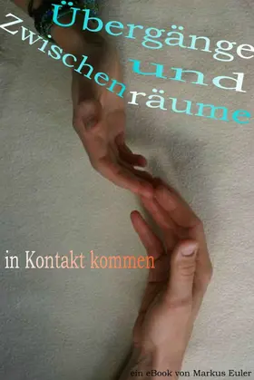 Euler |  Übergänge und Zwischenräume | eBook | Sack Fachmedien
