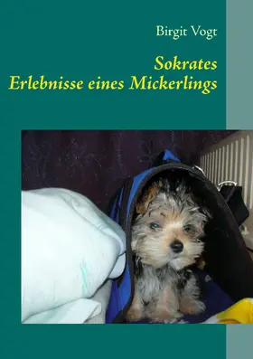 Vogt |  Sokrates | eBook | Sack Fachmedien